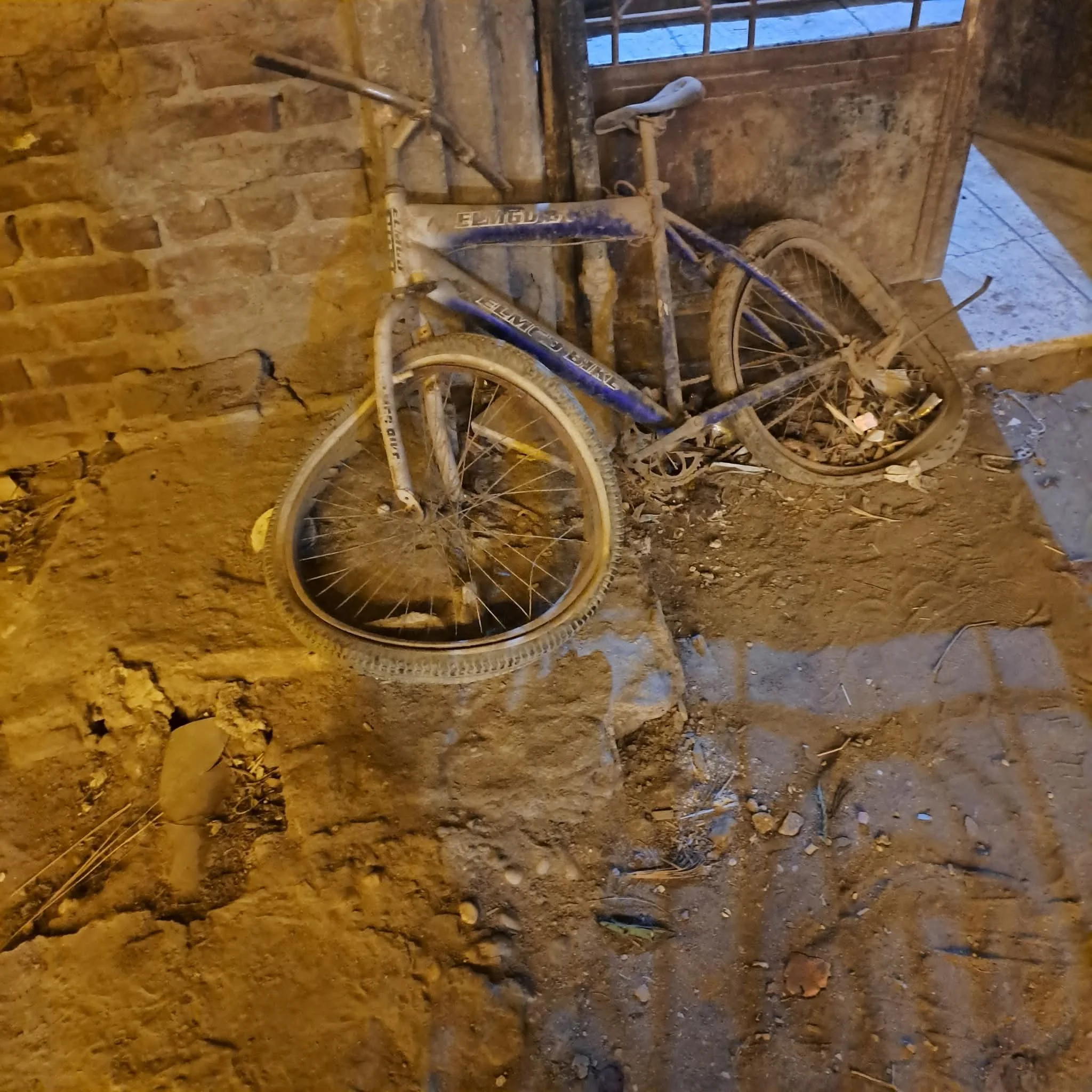 صورة المقال